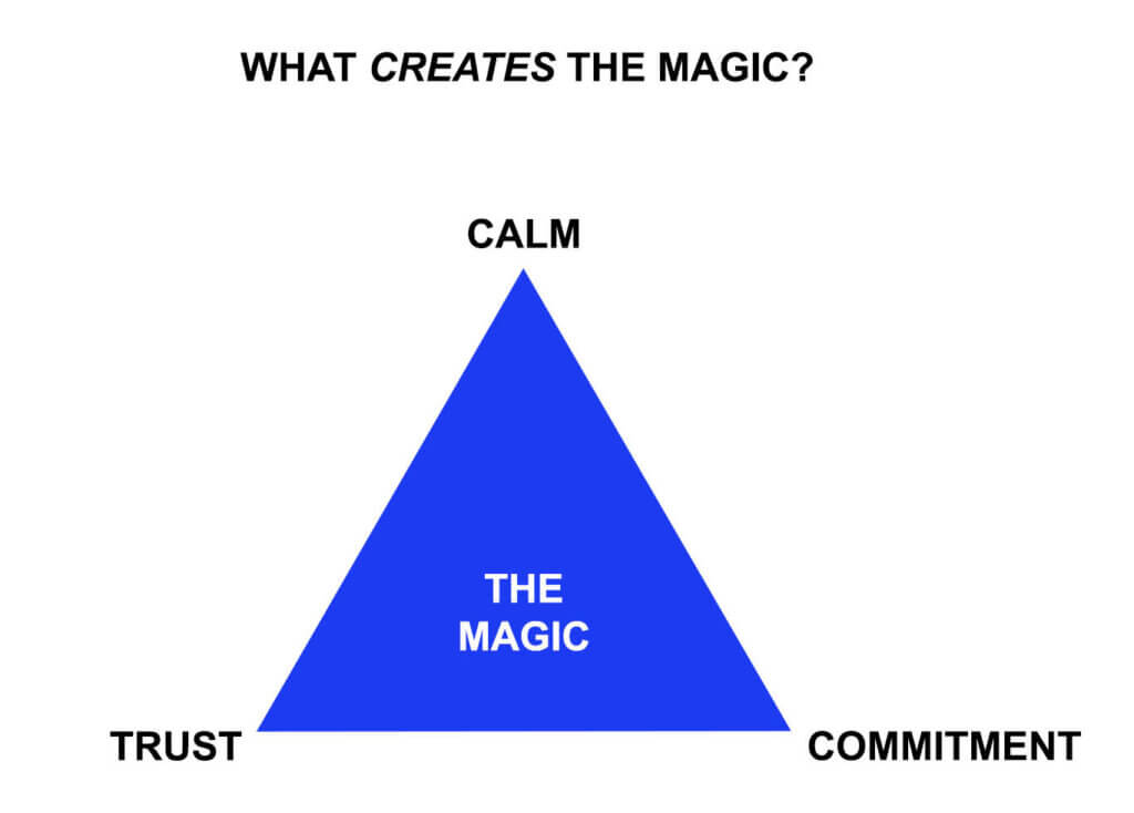 What creates the magic? Calm, trust, commitment.